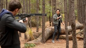 The Vampire Diaries, Season 3 - The New Deal image
