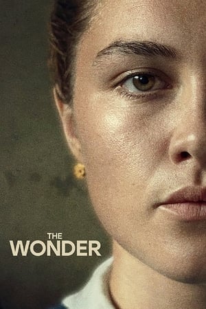 Wonder poster 2