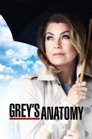 Grey's Anatomy, Season 15 poster 2