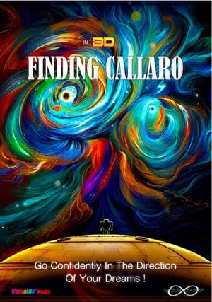 Finding Callaro poster 2