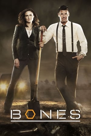 Bones, Season 10 poster 0