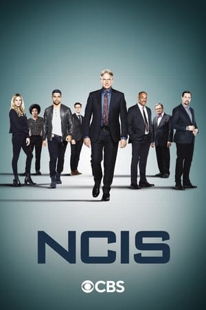 NCIS, Season 17 poster 1