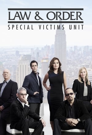 Law & Order: SVU (Special Victims Unit), Season 22 poster 3