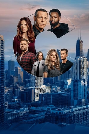 Chicago PD, Season 9 poster 1