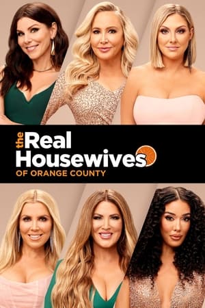The Real Housewives of Orange County, Season 4 poster 2