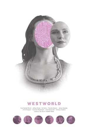 Westworld, Season 1 poster 2