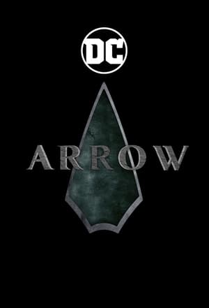 Arrow, Season 8 poster 2