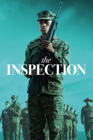 The Inspection poster 4