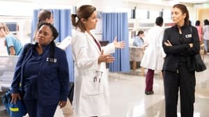 Grey's Anatomy, Season 19 - When I Get to the Border image