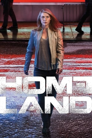 Homeland, Season 6 poster 3