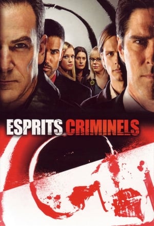 Criminal Minds, Season 6 poster 2
