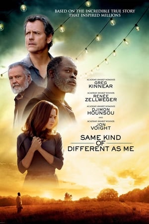 Same Kind of Different As Me poster 4