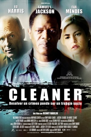 Cleaner poster 2