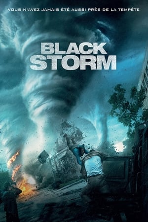 Into the Storm (2014) poster 2