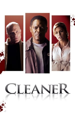 Cleaner poster 3