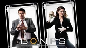Bones, The Complete Series image 0