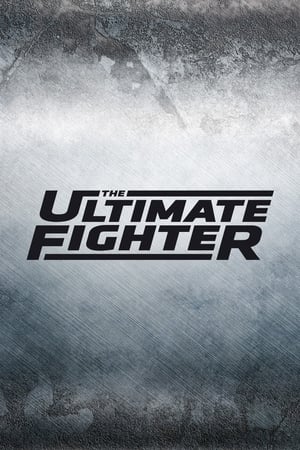 The Ultimate Fighter 27: Team Miocic vs Team Cormier - Undefeated poster 2