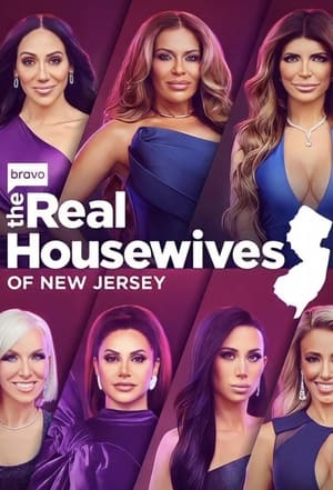 The Real Housewives of New Jersey, Season 2 poster 0