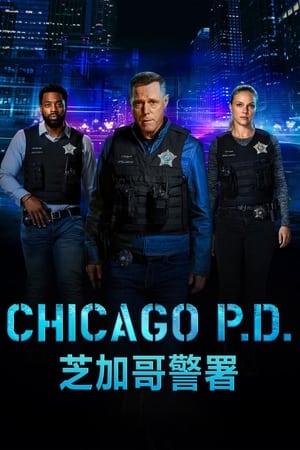 Chicago PD, Season 11 poster 2