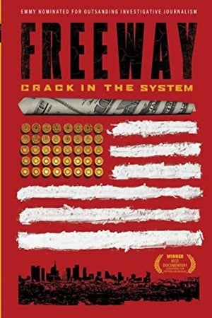 Freeway: Crack in the System poster 1