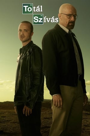 Breaking Bad, Season 5 poster 0