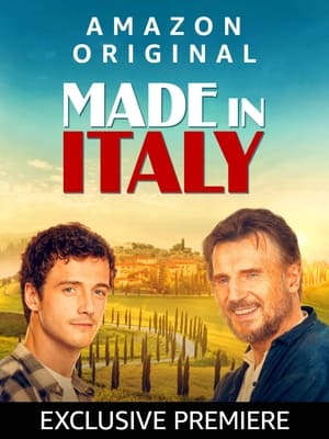 Made In Italy poster 2