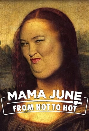 Mama June: From Not to Hot, Vol. 1 poster 1
