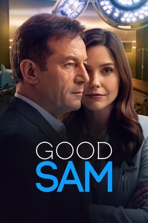 Good Sam, Season 1 poster 1
