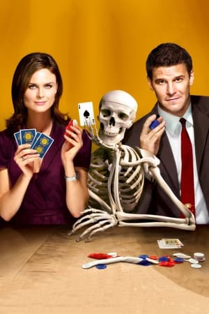 Bones, Season 11 poster 3