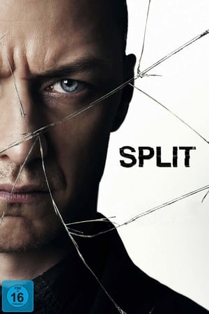 Split (2017) poster 4