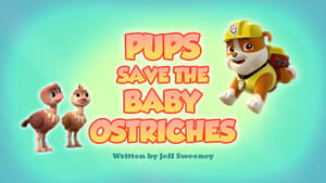 PAW Patrol, Vol. 6 - Pups Save the Baby Ostriches image