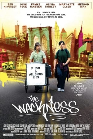 The Wackness poster 4