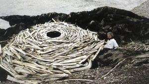 Rivers and Tides: Andy Goldsworthy Working With Time image 1