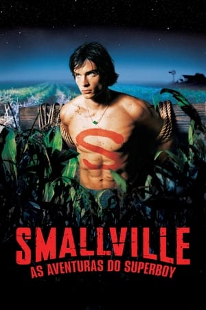 Smallville, Season 5 poster 3