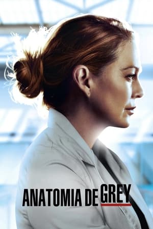 Grey's Anatomy, Season 4 poster 3