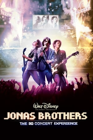 Jonas Brothers Concert poster 2