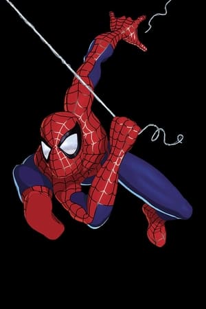 Spider-Man: The Animated Series, Season 4 poster 1
