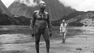 Embrace of the Serpent image 6