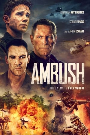 Ambush poster 3