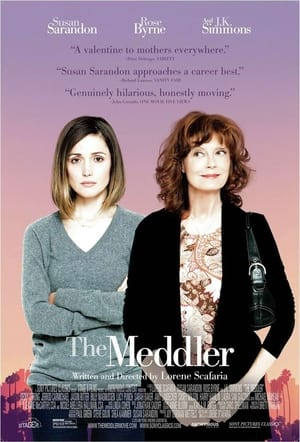 The Meddler poster 3