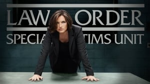 Law & Order: SVU (Special Victims Unit), Season 12 image 0
