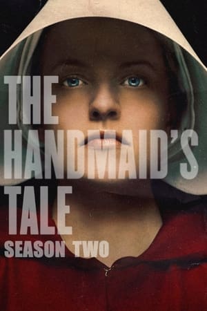 The Handmaid's Tale, Season 1 poster 3