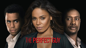 The Perfect Guy image 1