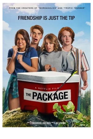 The Package poster 3