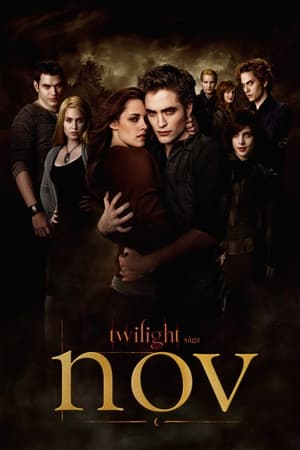The Twilight Saga: New Moon poster 4