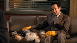 Monk, Season 8 - Mr. Monk and the Dog image