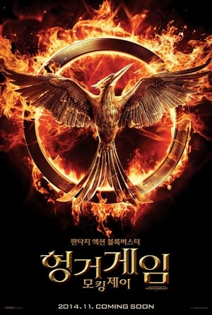 The Hunger Games: Mockingjay - Part 1 poster 3