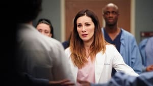Grey's Anatomy, Season 16 - Give a Little Bit image