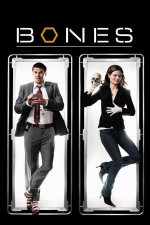 Bones, Season 2 poster 0