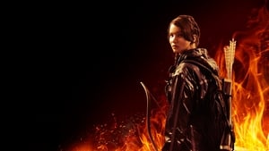 The Hunger Games image 8